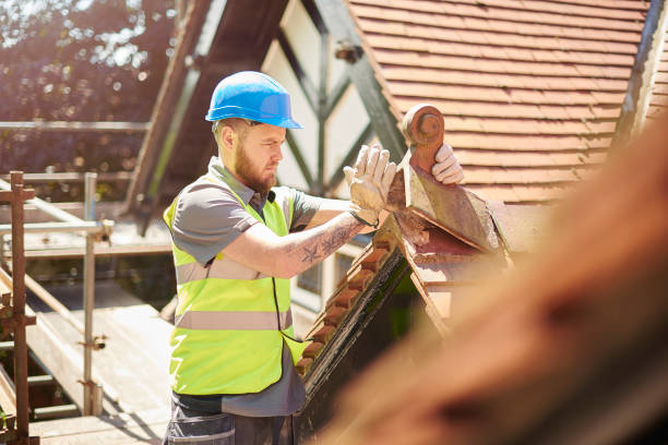 Best Roof Gutter Cleaning  in Vail, AZ